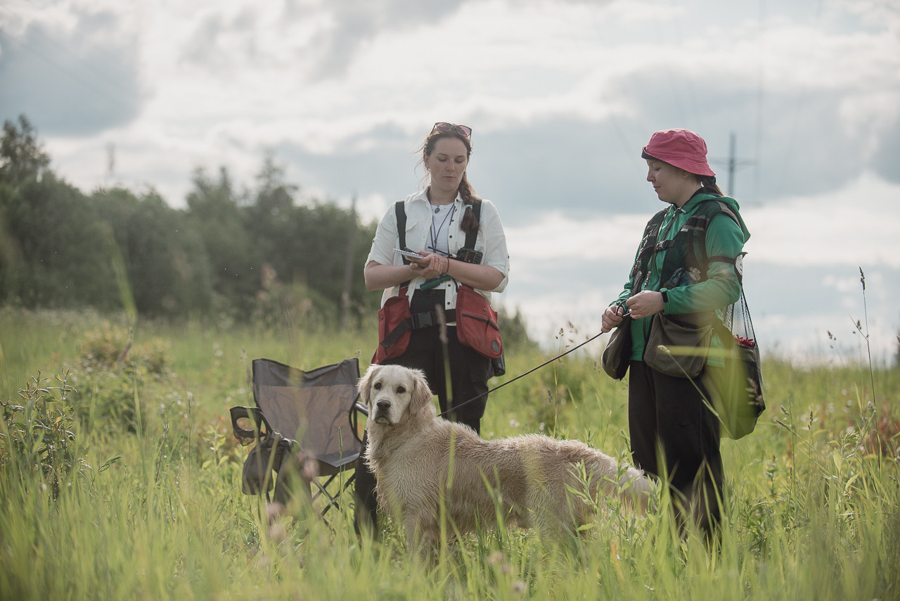 Несертификатный воркинг тест Школы Шмеля, 10 июня 2023. Фотограф-анималист Наталья Светличная