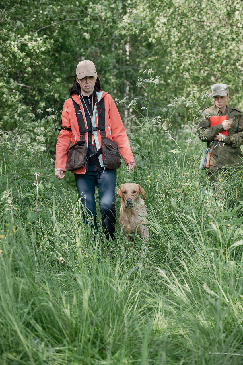 Испытания МОО «Школа Шмеля» 11 июня 2023. Фотограф-анималист Наталья Светличная
