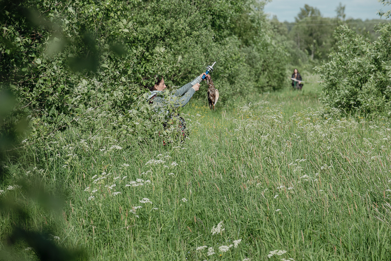 Испытания МОО «Школа Шмеля» 11 июня 2023. Фотограф-анималист Наталья Светличная