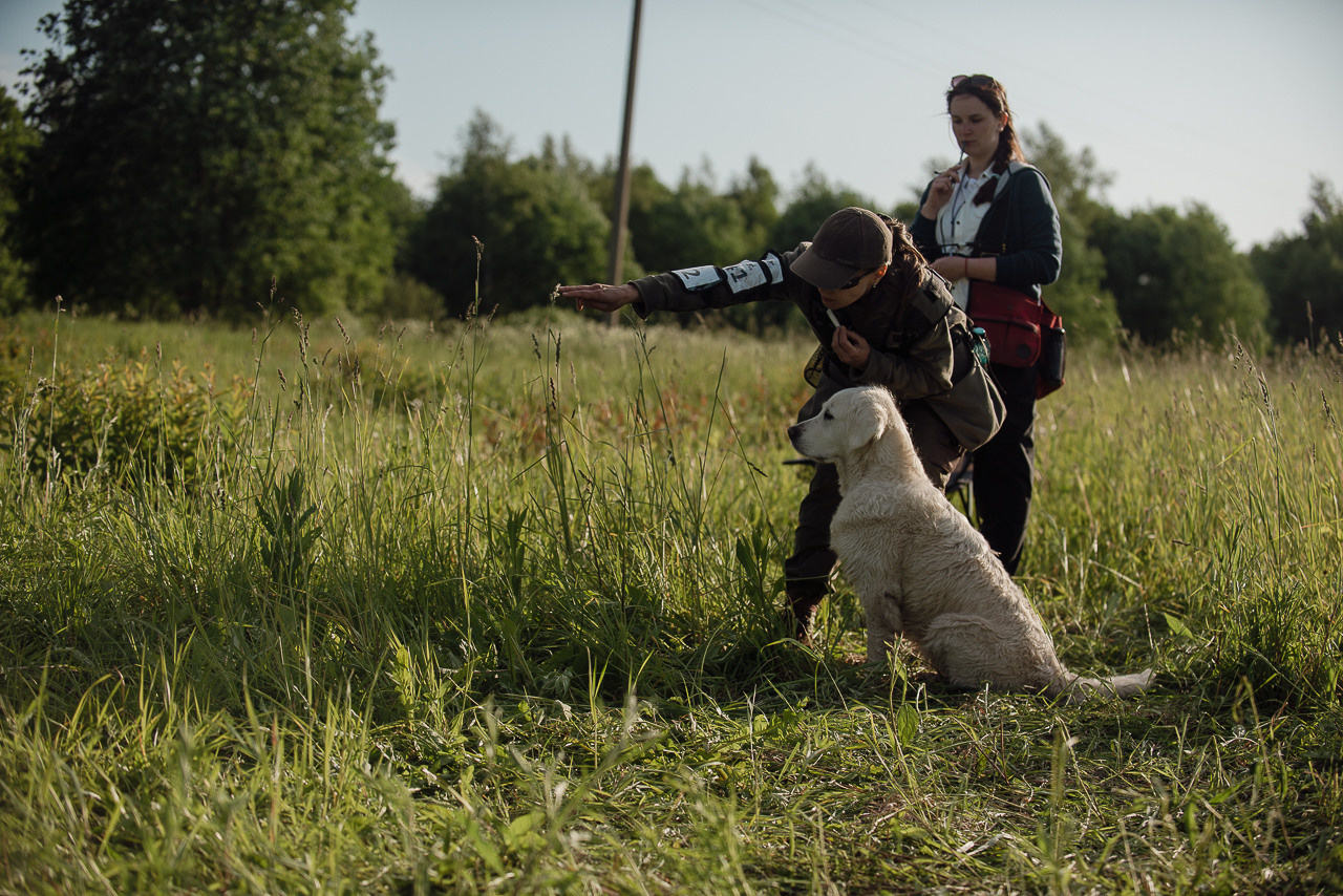 Несертификатный воркинг тест Школы Шмеля, 10 июня 2023. Фотограф-анималист Наталья Светличная