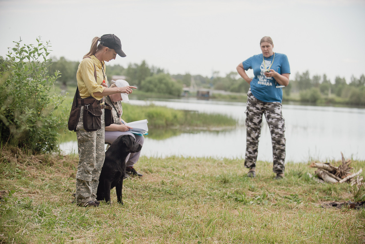 Состязания по розыску и подаче битой дичи, ЯРОС, 18.06.23. Фотограф-анималист Наталья Светличная