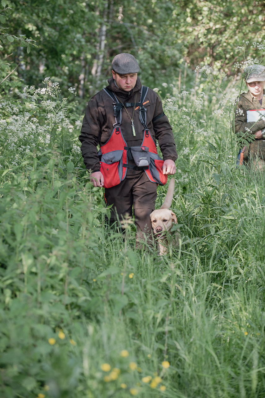 Испытания МОО «Школа Шмеля» 11 июня 2023. Фотограф-анималист Наталья Светличная
