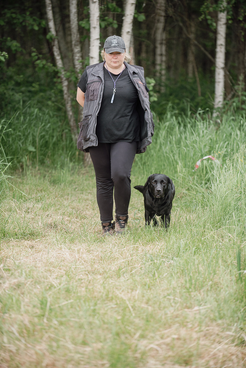 Состязания по розыску и подаче битой дичи, ЯРОС, 18.06.23. Фотограф-анималист Наталья Светличная