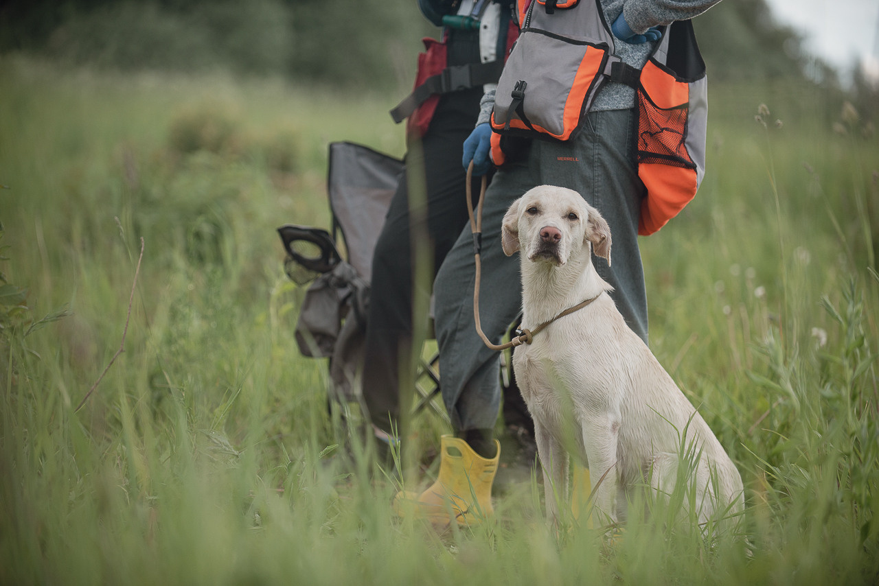 Несертификатный воркинг тест Школы Шмеля, 10 июня 2023. Фотограф-анималист Наталья Светличная