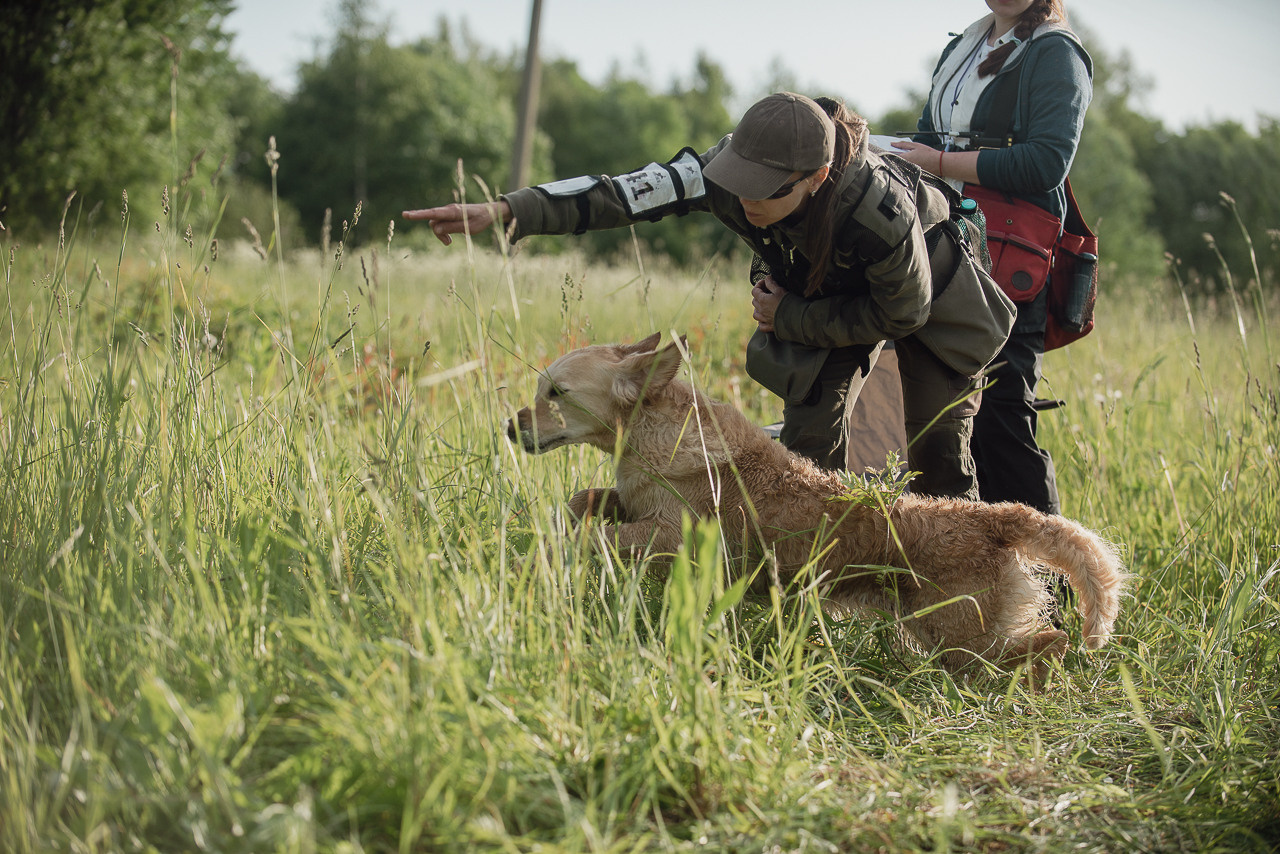 Несертификатный воркинг тест Школы Шмеля, 10 июня 2023. Фотограф-анималист Наталья Светличная