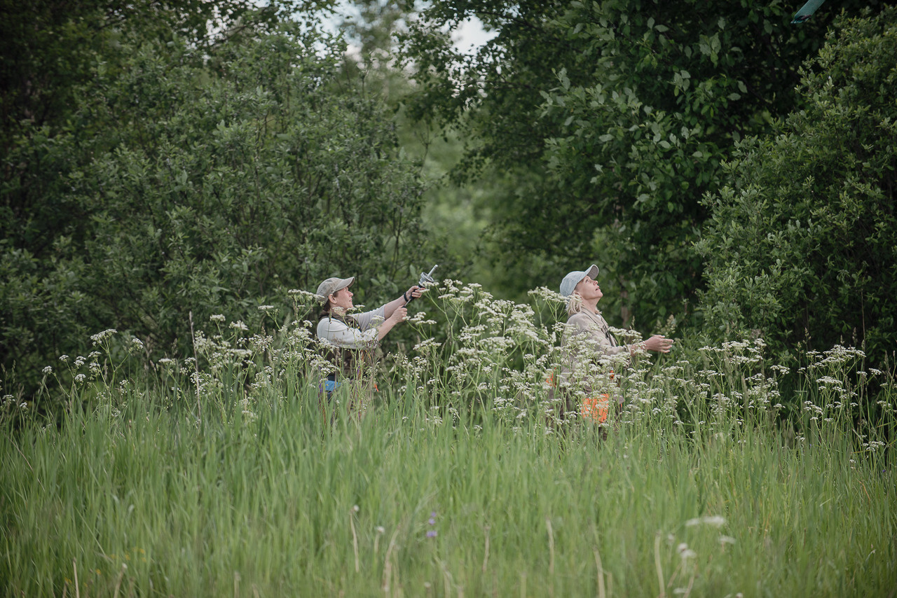 Несертификатный воркинг тест Школы Шмеля, 10 июня 2023. Фотограф-анималист Наталья Светличная