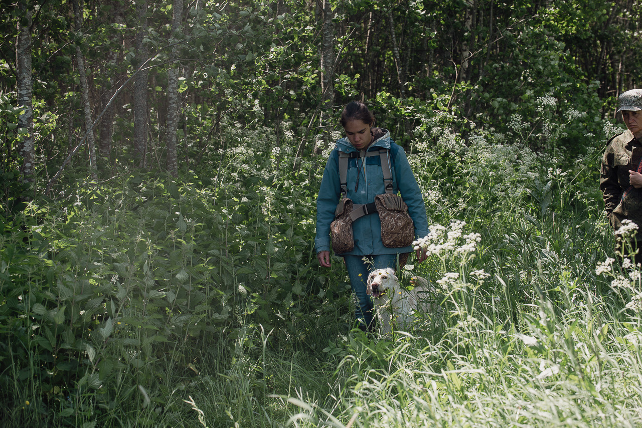 Испытания МОО «Школа Шмеля» 11 июня 2023. Фотограф-анималист Наталья Светличная