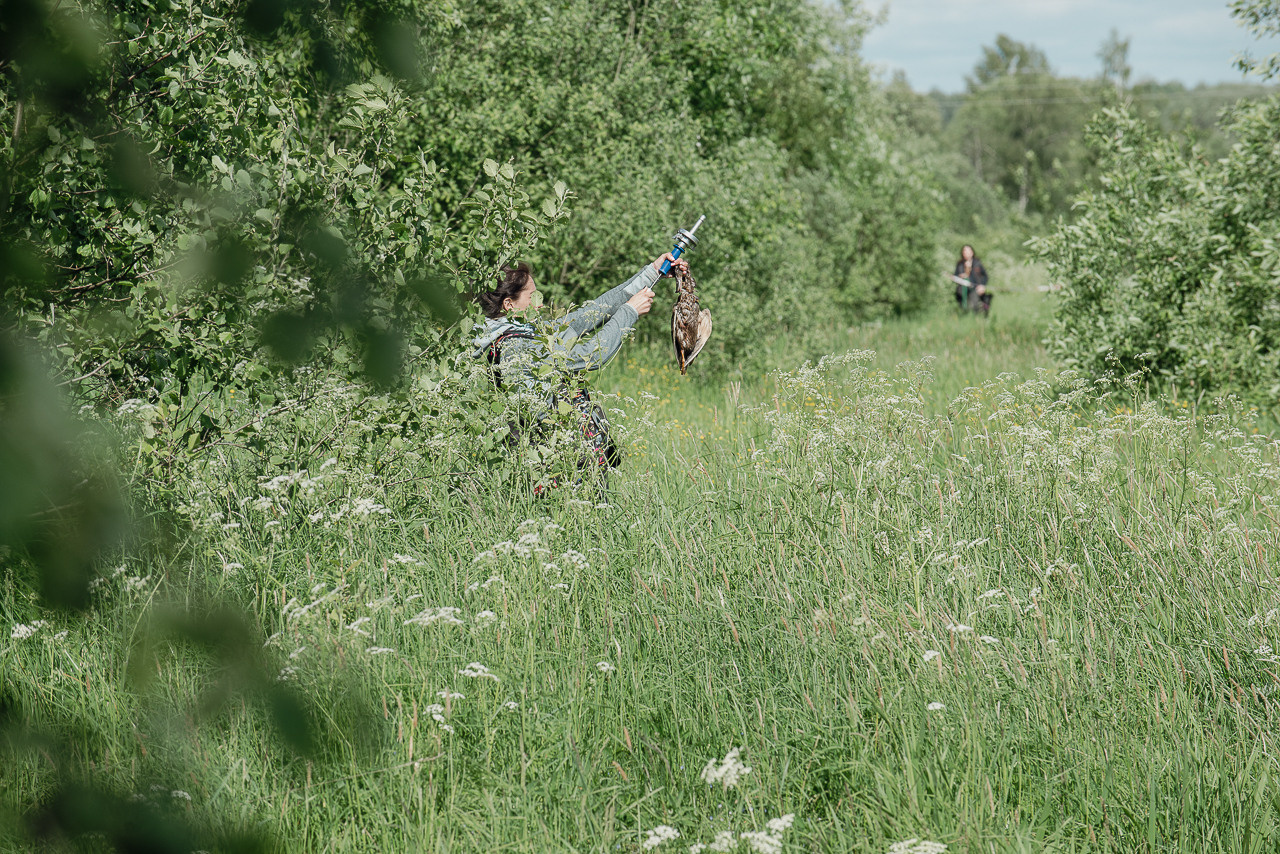 Испытания МОО «Школа Шмеля» 11 июня 2023. Фотограф-анималист Наталья Светличная