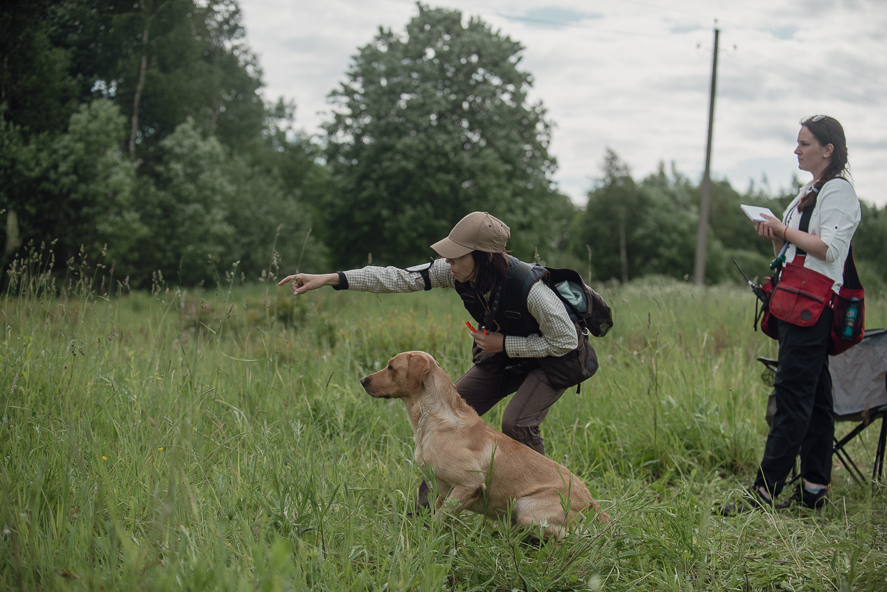 Несертификатный воркинг тест Школы Шмеля, 10 июня 2023. Фотограф-анималист Наталья Светличная