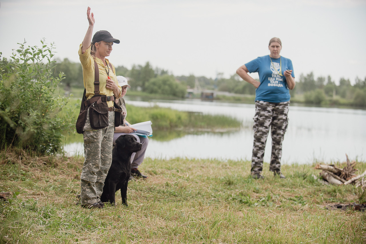 Состязания по розыску и подаче битой дичи, ЯРОС, 18.06.23. Фотограф-анималист Наталья Светличная