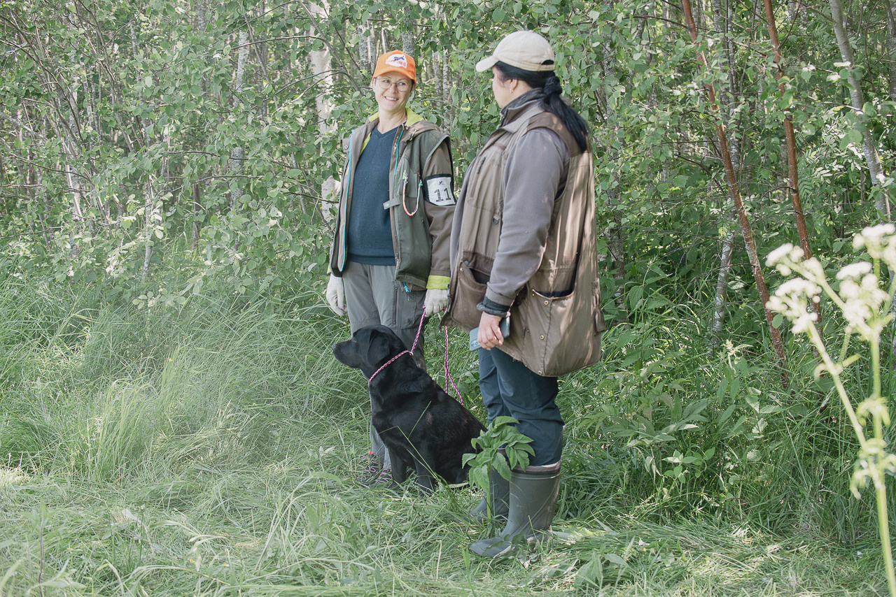 Испытания МОО «Школа Шмеля» 11 июня 2023. Фотограф-анималист Наталья Светличная