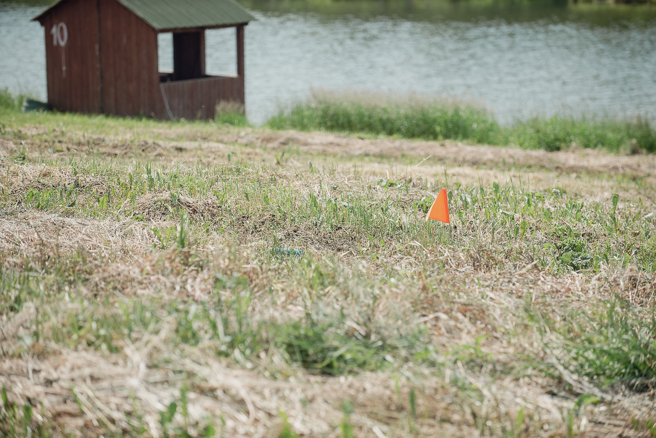 Соревнования по метанию даммисов в рамках тренировочного лагеря Школы Шмеля 2023. Фотограф-анималист Наталья Светличная