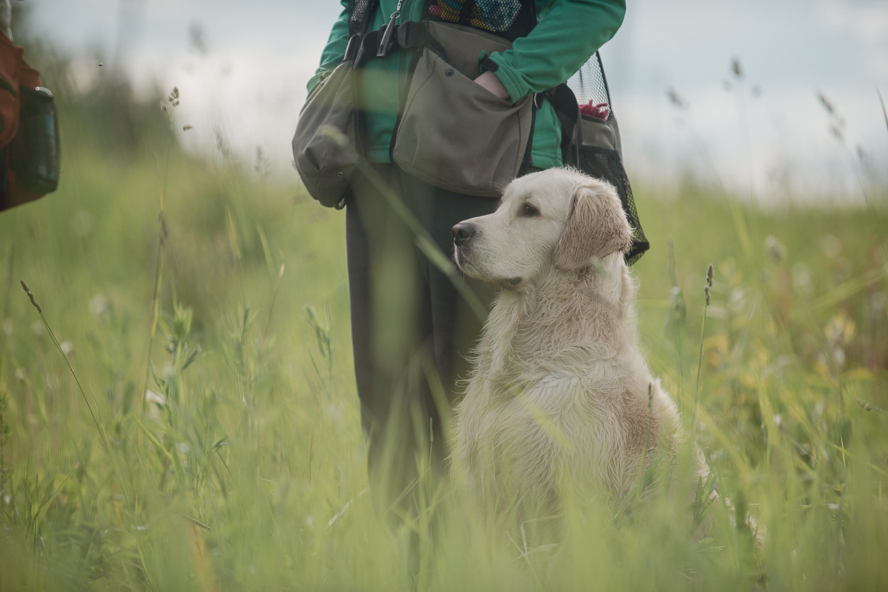 Несертификатный воркинг тест Школы Шмеля, 10 июня 2023. Фотограф-анималист Наталья Светличная