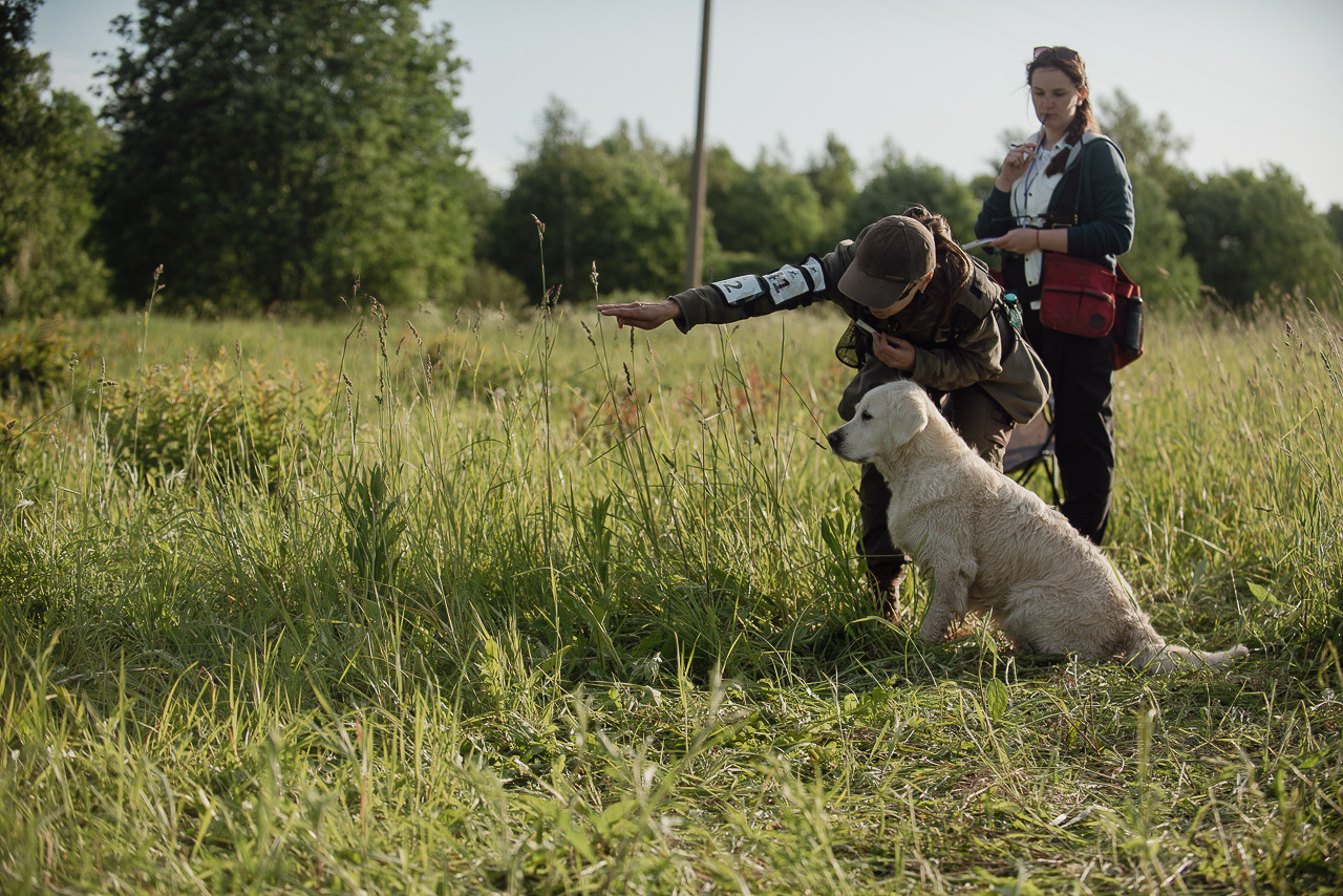 Несертификатный воркинг тест Школы Шмеля, 10 июня 2023. Фотограф-анималист Наталья Светличная