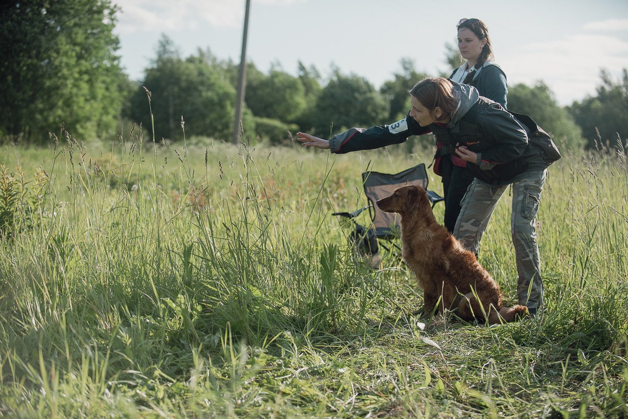 Несертификатный воркинг тест Школы Шмеля, 10 июня 2023. Фотограф-анималист Наталья Светличная