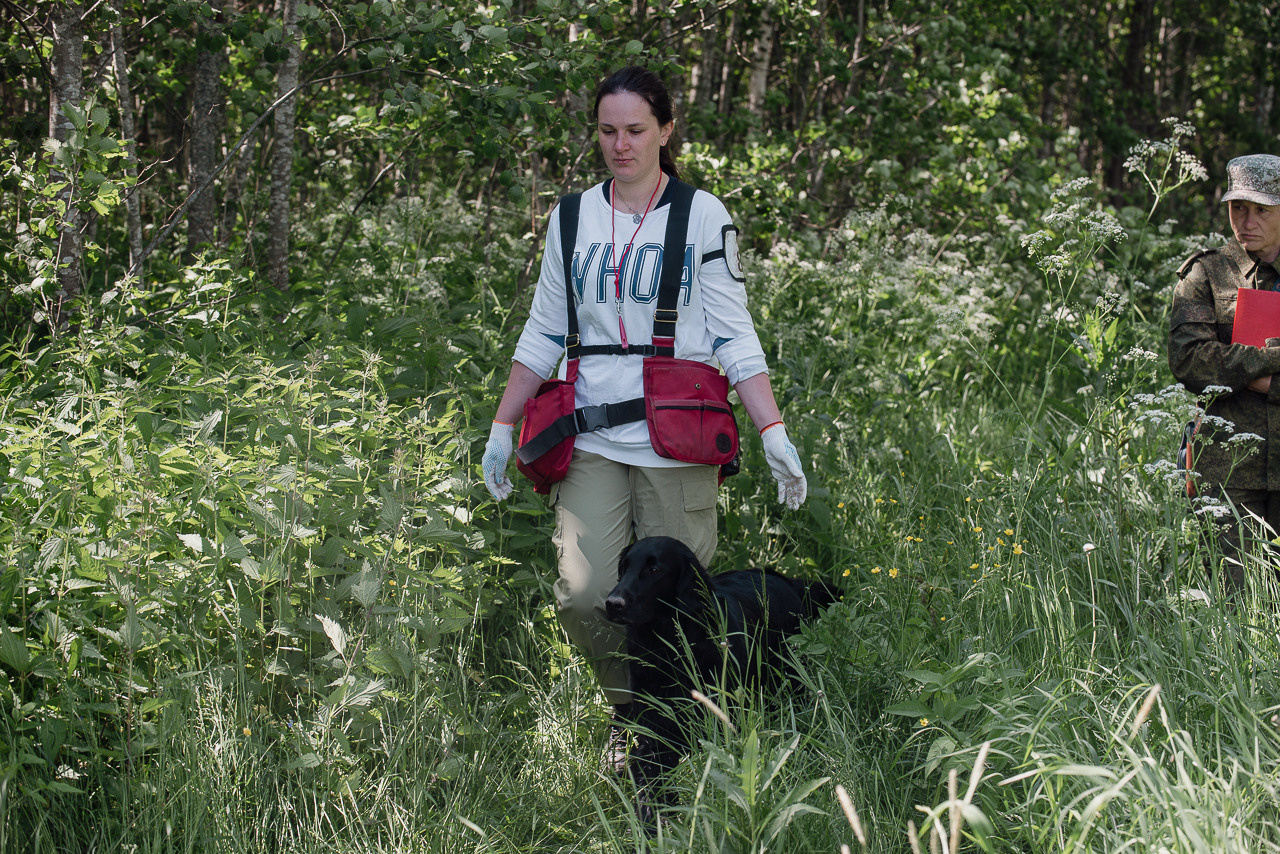 Испытания МОО «Школа Шмеля» 11 июня 2023. Фотограф-анималист Наталья Светличная