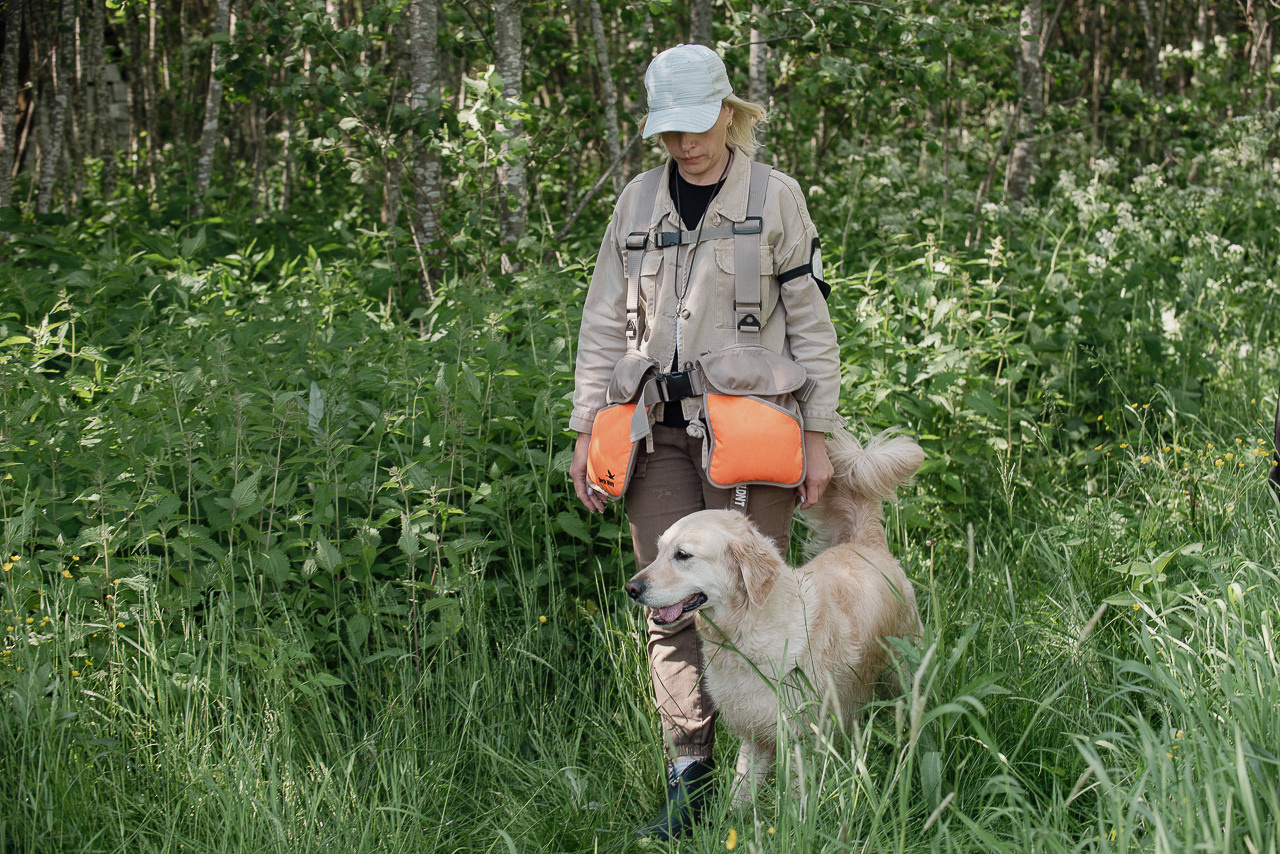 Испытания МОО «Школа Шмеля» 11 июня 2023. Фотограф-анималист Наталья Светличная