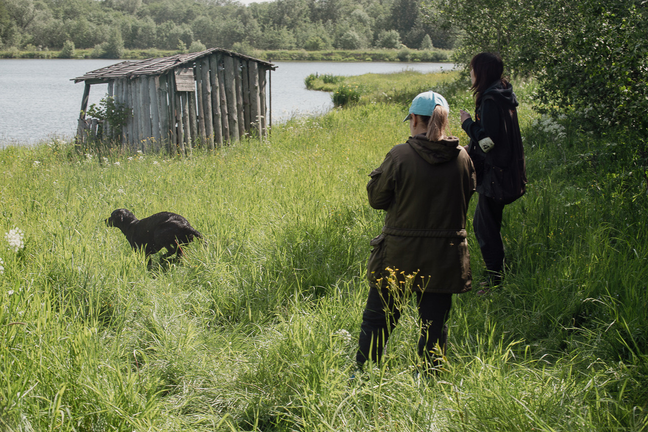 Испытания МОО «Школа Шмеля» 11 июня 2023. Фотограф-анималист Наталья Светличная