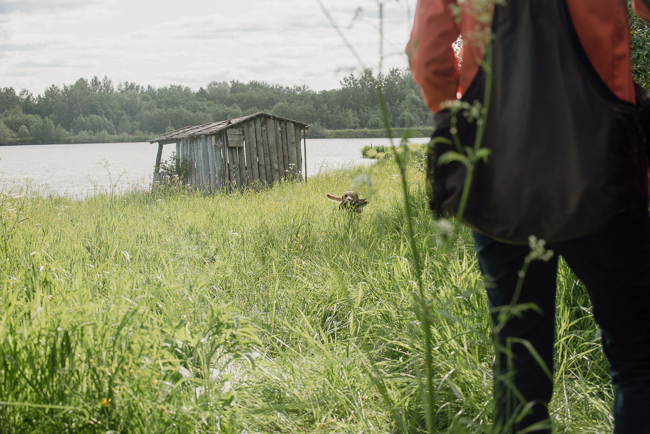 Испытания МОО «Школа Шмеля» 11 июня 2023. Фотограф-анималист Наталья Светличная