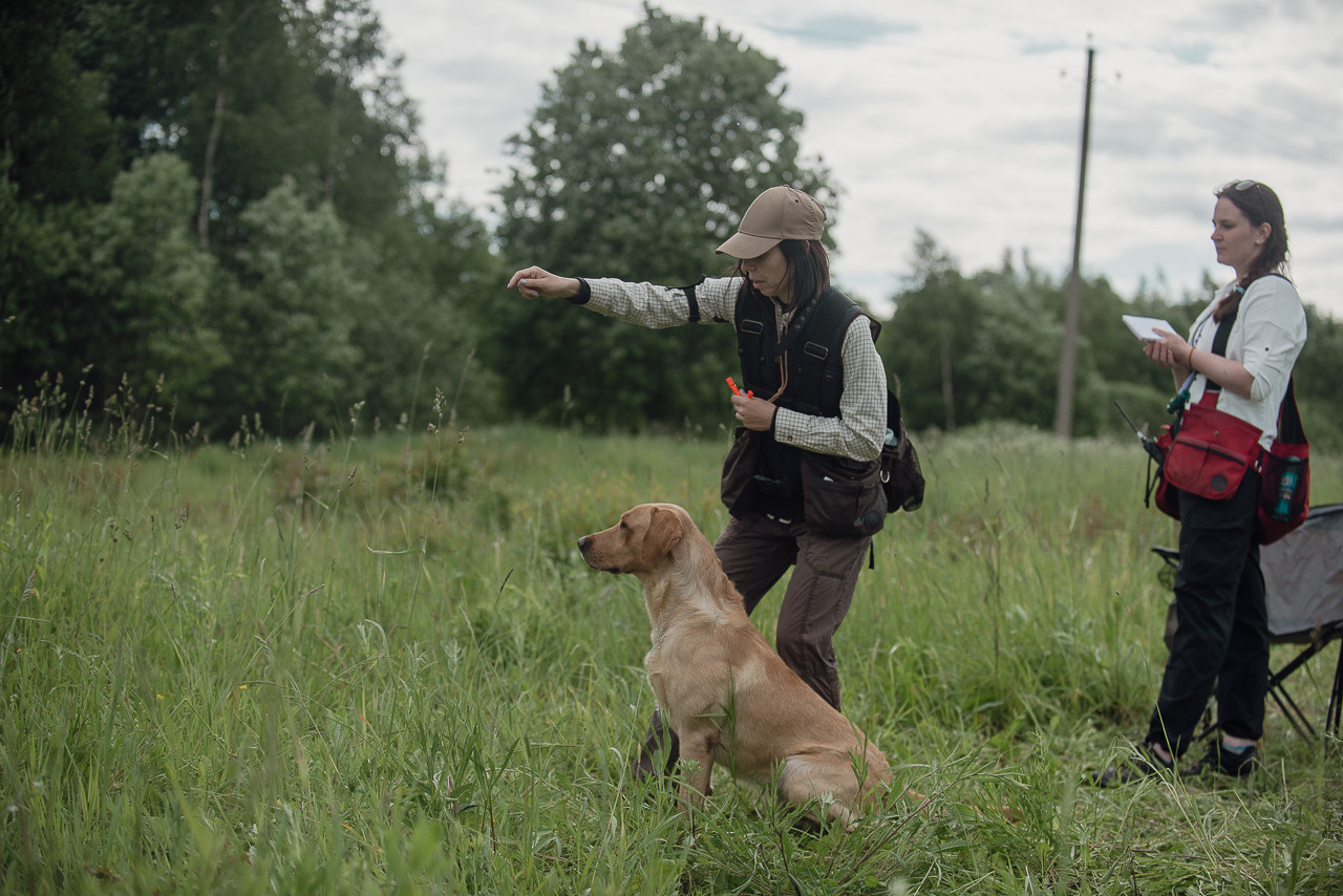 Несертификатный воркинг тест Школы Шмеля, 10 июня 2023. Фотограф-анималист Наталья Светличная