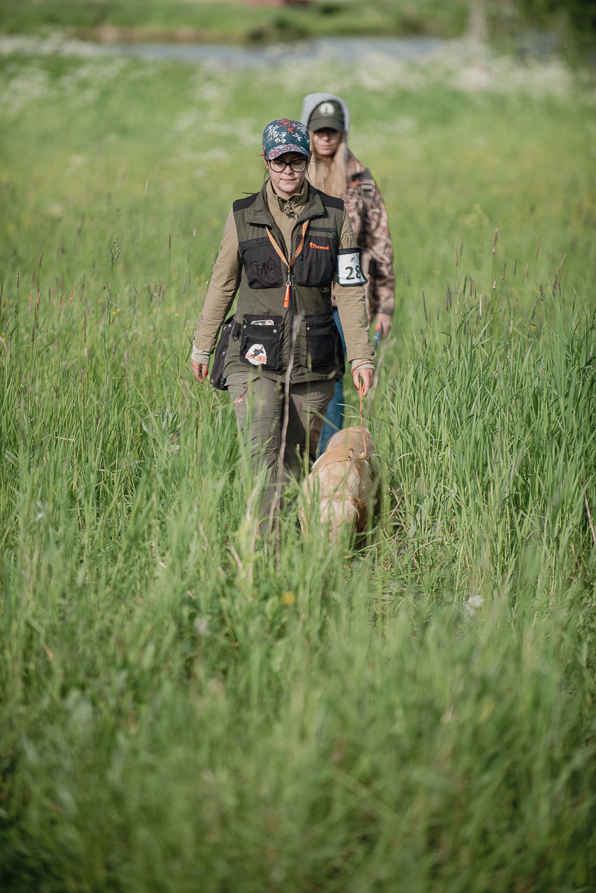 Несертификатный воркинг тест Школы Шмеля, 10 июня 2023. Фотограф-анималист Наталья Светличная