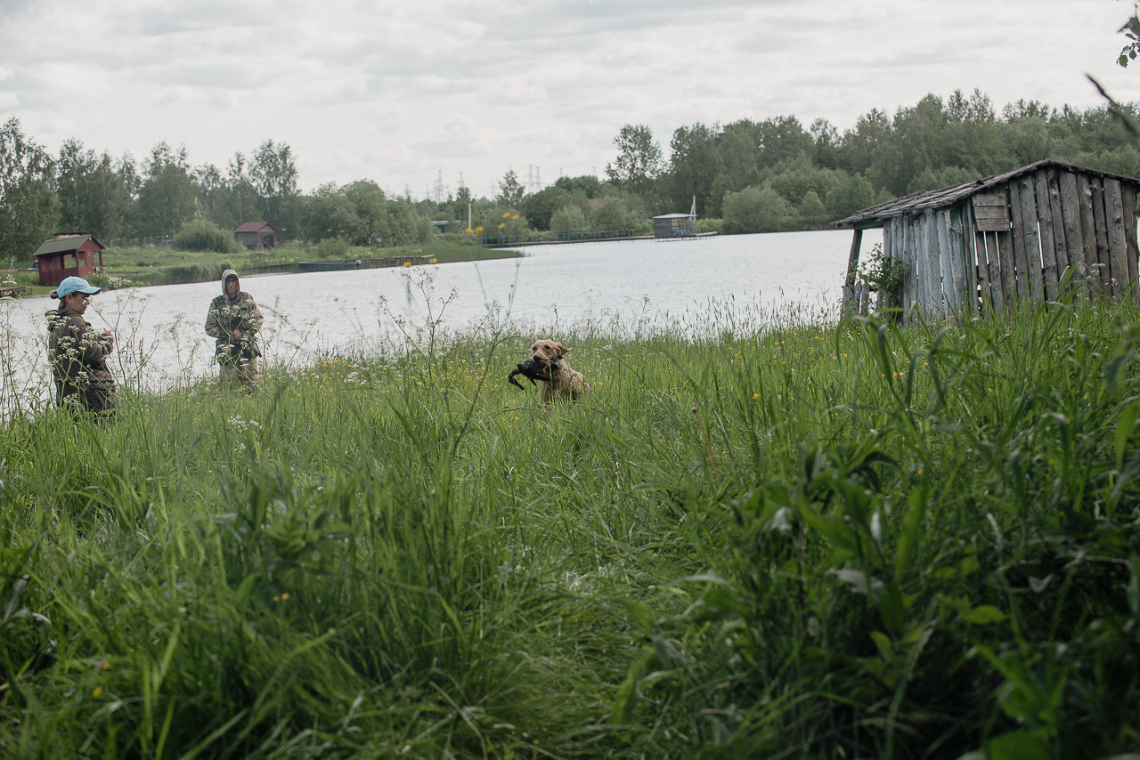 Испытания МОО «Школа Шмеля» 11 июня 2023. Фотограф-анималист Наталья Светличная