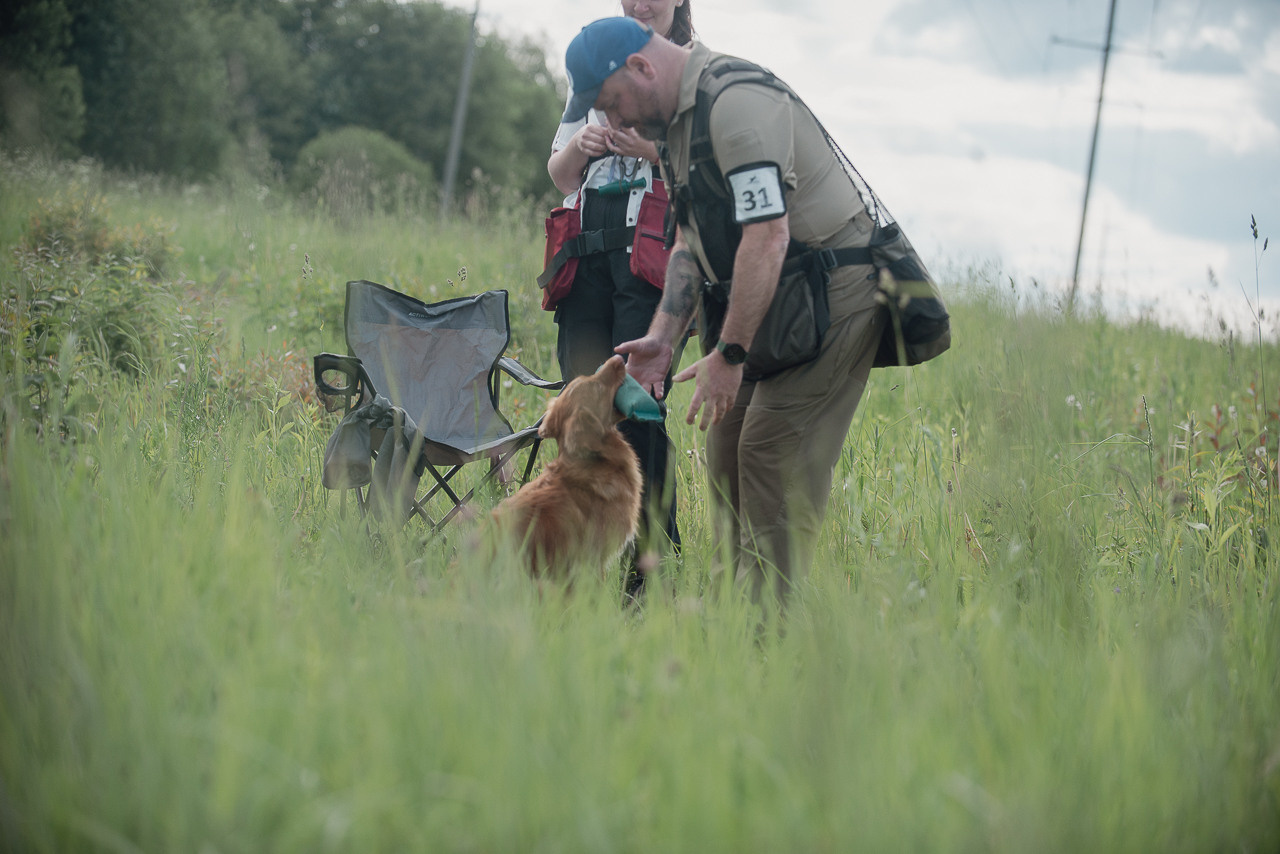 Несертификатный воркинг тест Школы Шмеля, 10 июня 2023. Фотограф-анималист Наталья Светличная