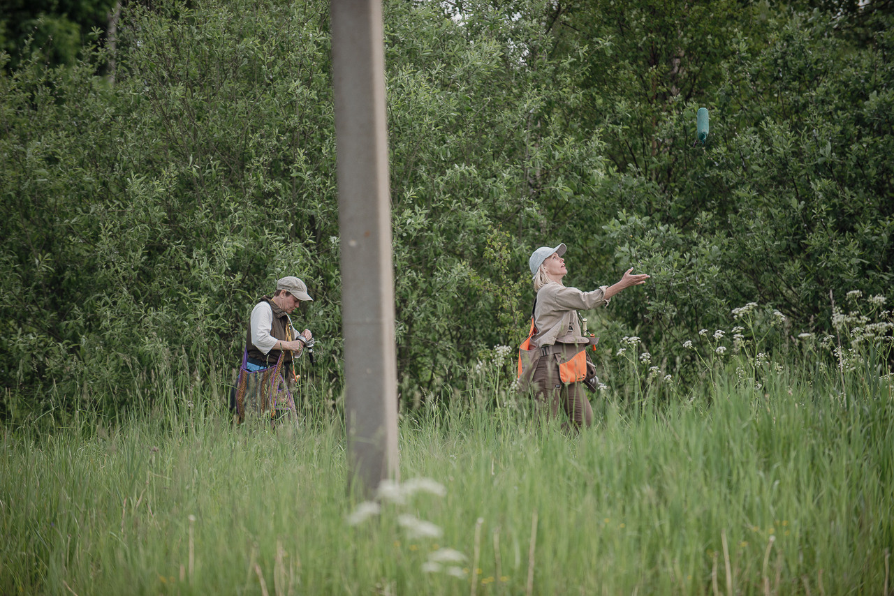 Несертификатный воркинг тест Школы Шмеля, 10 июня 2023. Фотограф-анималист Наталья Светличная