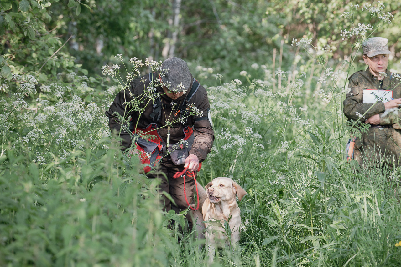 Испытания МОО «Школа Шмеля» 11 июня 2023. Фотограф-анималист Наталья Светличная