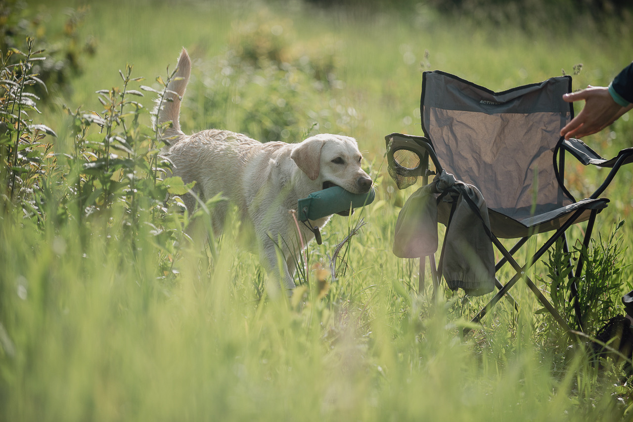 Несертификатный воркинг тест Школы Шмеля, 10 июня 2023. Фотограф-анималист Наталья Светличная
