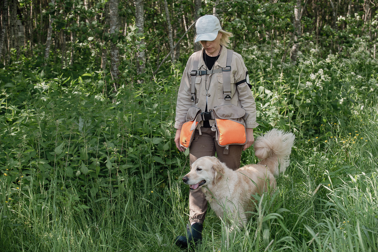 Испытания МОО «Школа Шмеля» 11 июня 2023. Фотограф-анималист Наталья Светличная