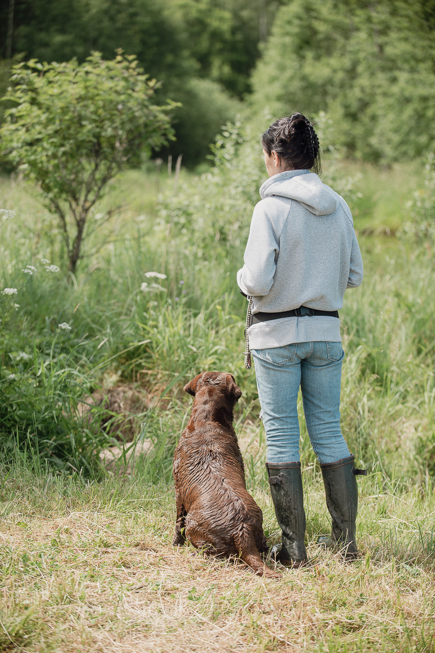 Состязания по розыску и подаче битой дичи, ЯРОС, 18.06.23. Фотограф-анималист Наталья Светличная