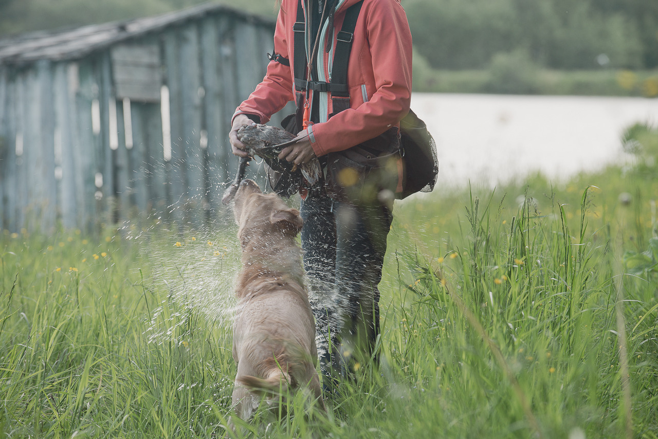 Испытания МОО «Школа Шмеля» 11 июня 2023. Фотограф-анималист Наталья Светличная