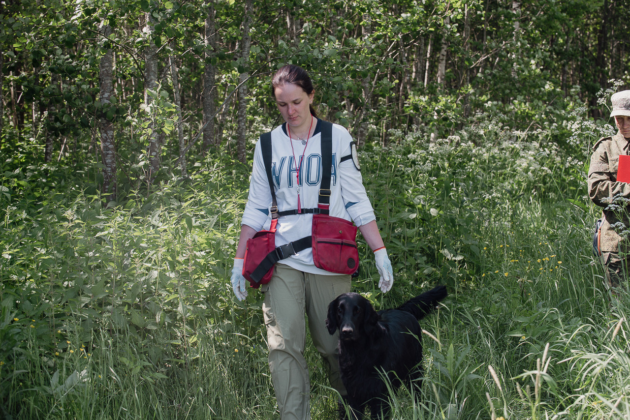 Испытания МОО «Школа Шмеля» 11 июня 2023. Фотограф-анималист Наталья Светличная