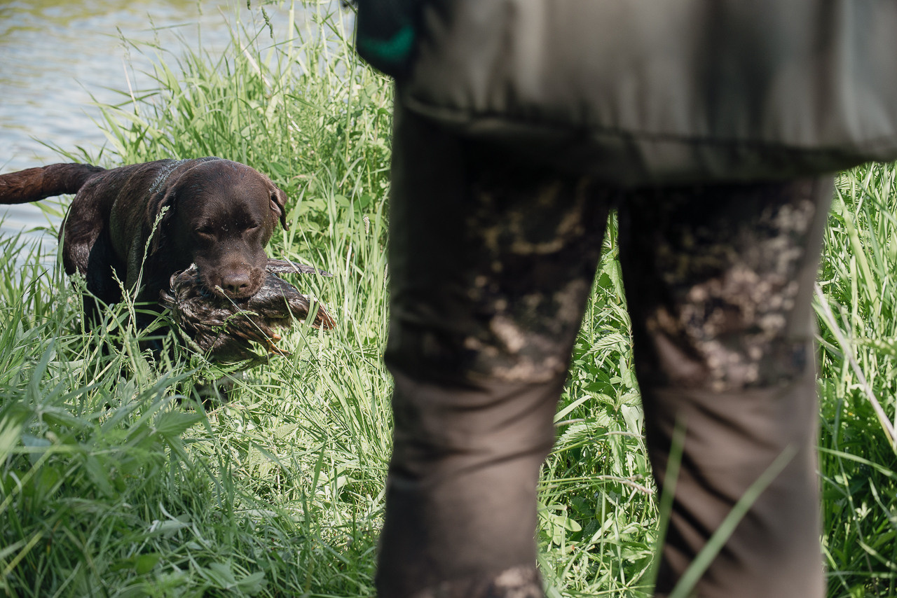 Испытания МОО «Школа Шмеля» 11 июня 2023. Фотограф-анималист Наталья Светличная