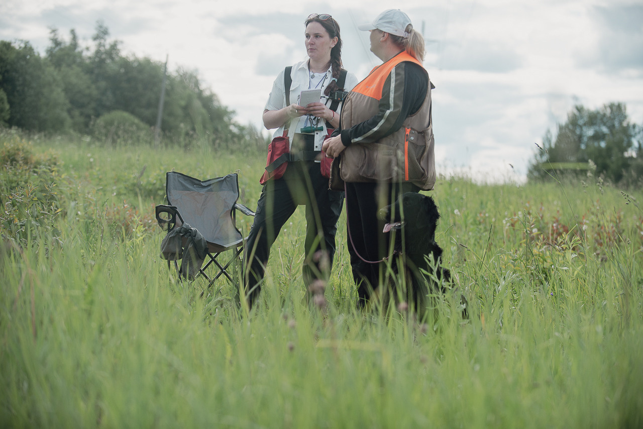 Несертификатный воркинг тест Школы Шмеля, 10 июня 2023. Фотограф-анималист Наталья Светличная