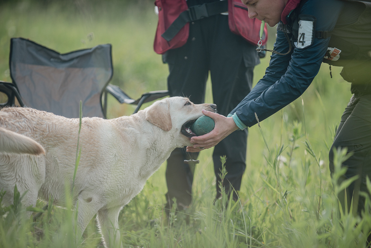 Несертификатный воркинг тест Школы Шмеля, 10 июня 2023. Фотограф-анималист Наталья Светличная