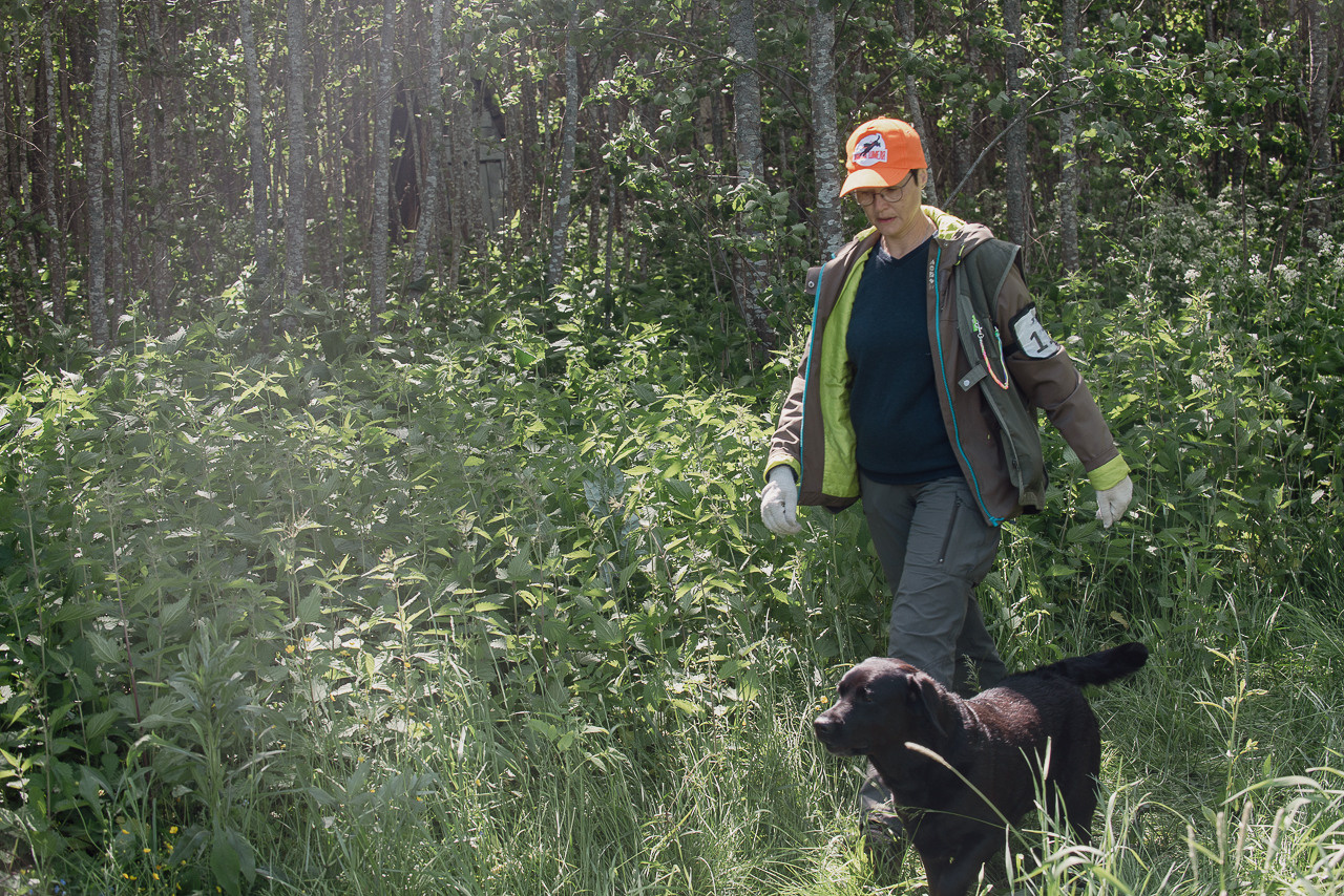 Испытания МОО «Школа Шмеля» 11 июня 2023. Фотограф-анималист Наталья Светличная
