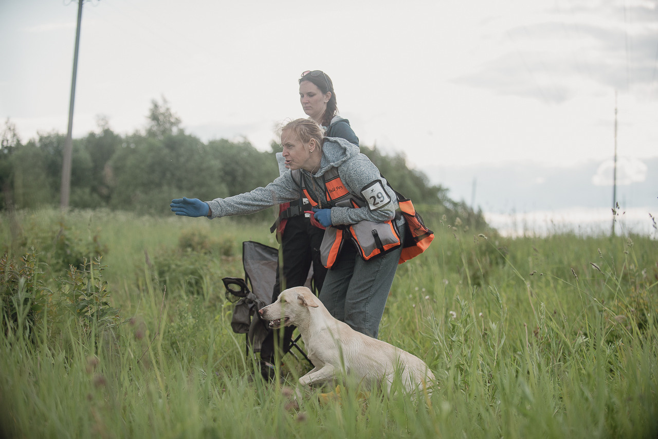 Несертификатный воркинг тест Школы Шмеля, 10 июня 2023. Фотограф-анималист Наталья Светличная