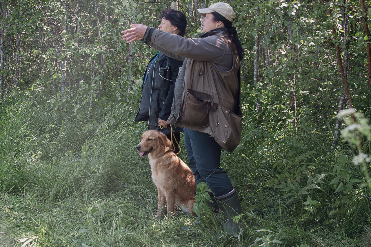 Испытания МОО «Школа Шмеля» 11 июня 2023. Фотограф-анималист Наталья Светличная