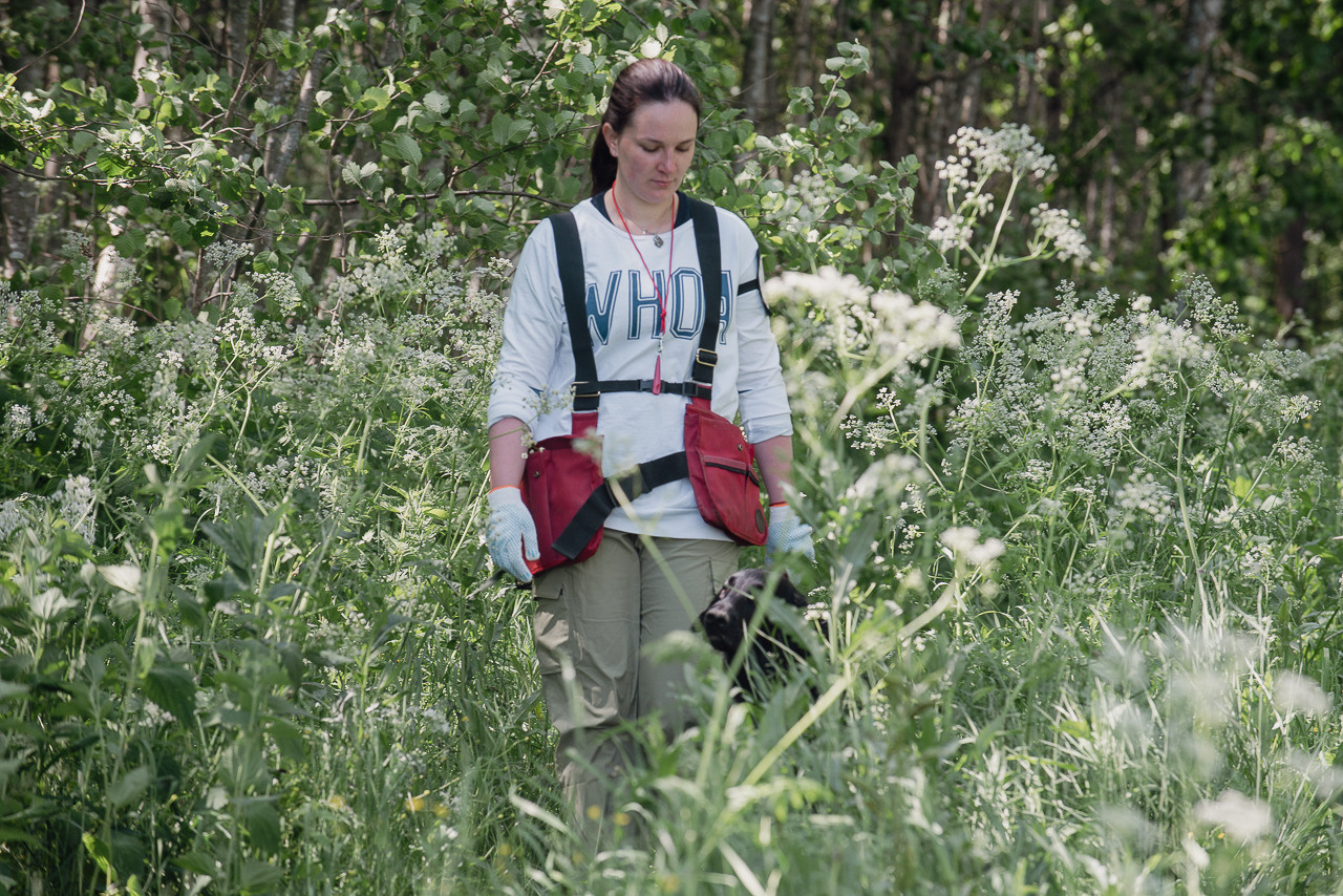 Испытания МОО «Школа Шмеля» 11 июня 2023. Фотограф-анималист Наталья Светличная