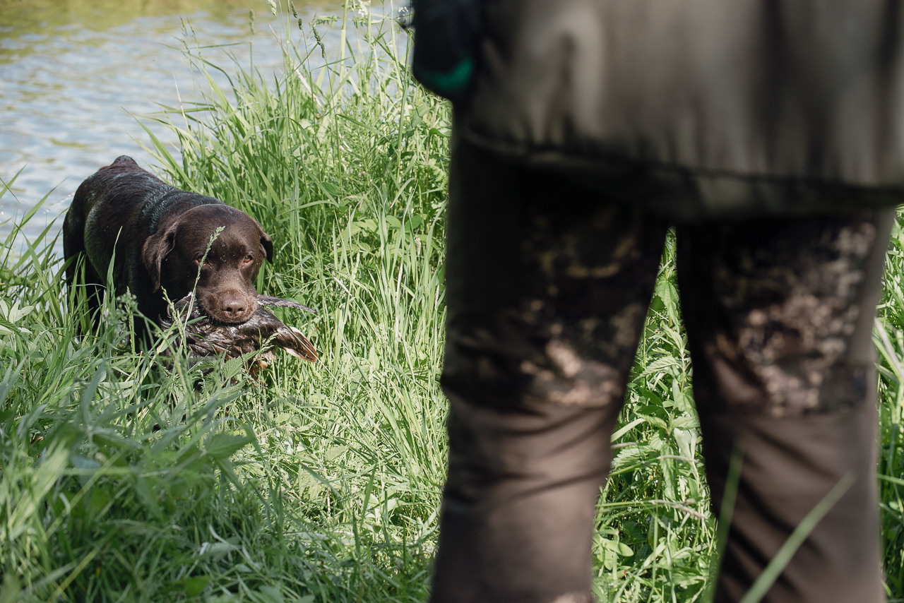 Испытания МОО «Школа Шмеля» 11 июня 2023. Фотограф-анималист Наталья Светличная