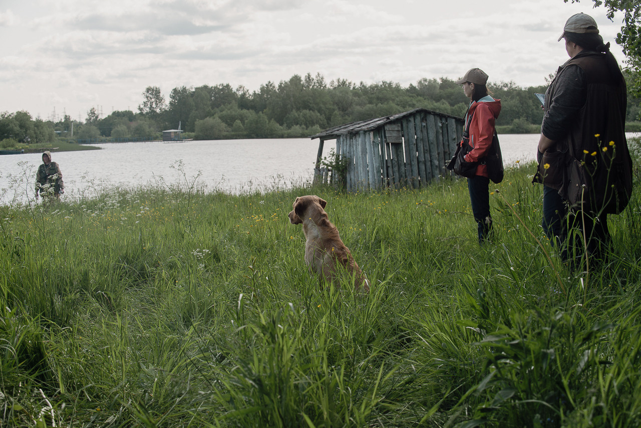 Испытания МОО «Школа Шмеля» 11 июня 2023. Фотограф-анималист Наталья Светличная