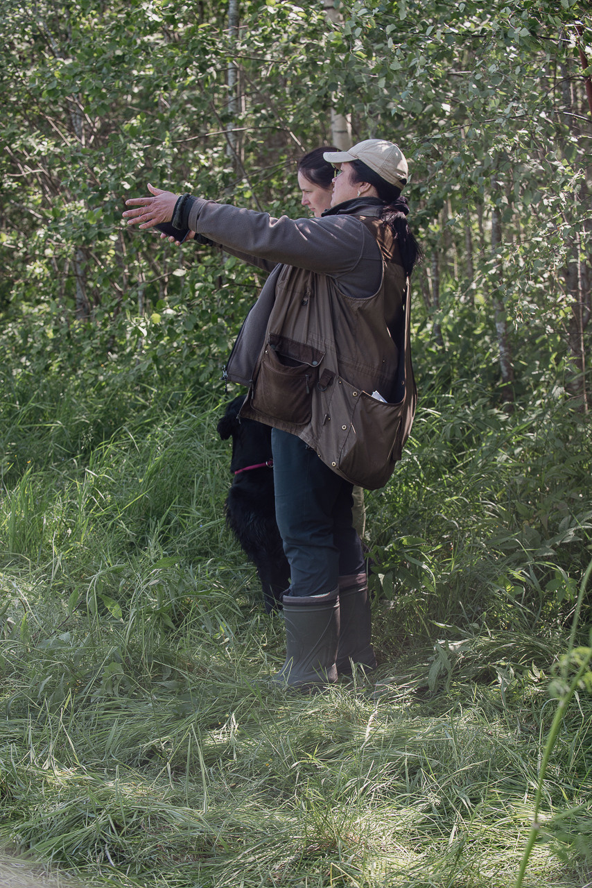 Испытания МОО «Школа Шмеля» 11 июня 2023. Фотограф-анималист Наталья Светличная