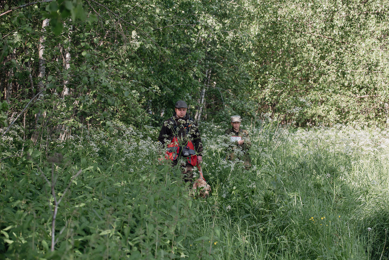 Испытания МОО «Школа Шмеля» 11 июня 2023. Фотограф-анималист Наталья Светличная