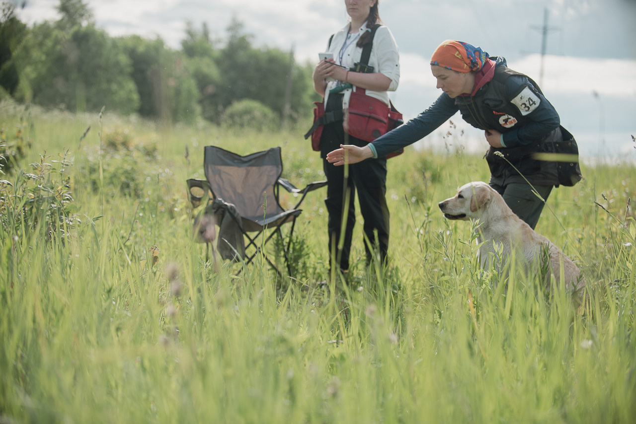 Несертификатный воркинг тест Школы Шмеля, 10 июня 2023. Фотограф-анималист Наталья Светличная