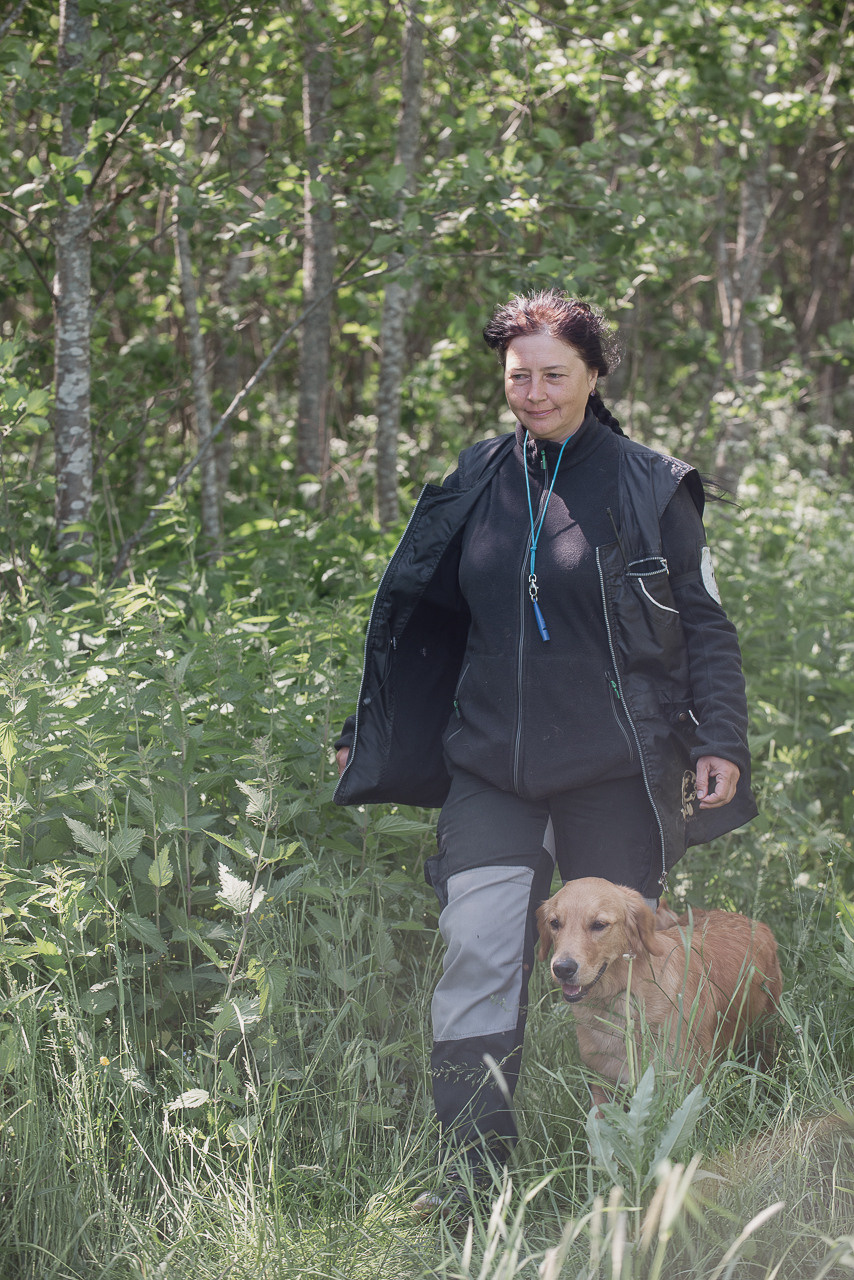 Испытания МОО «Школа Шмеля» 11 июня 2023. Фотограф-анималист Наталья Светличная