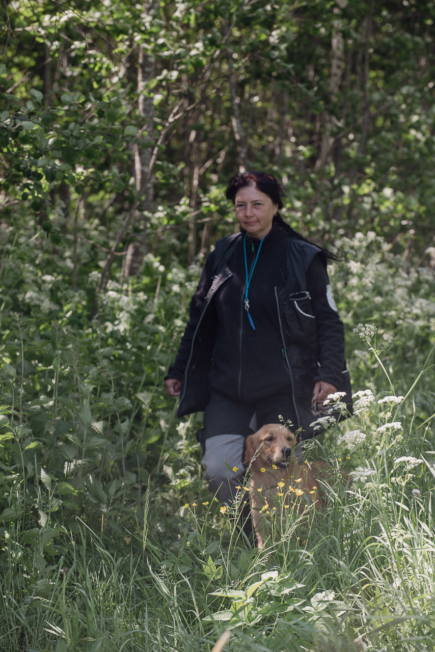 Испытания МОО «Школа Шмеля» 11 июня 2023. Фотограф-анималист Наталья Светличная