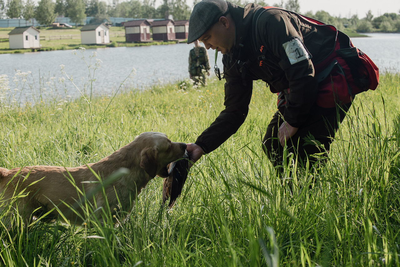 Испытания МОО «Школа Шмеля» 11 июня 2023. Фотограф-анималист Наталья Светличная