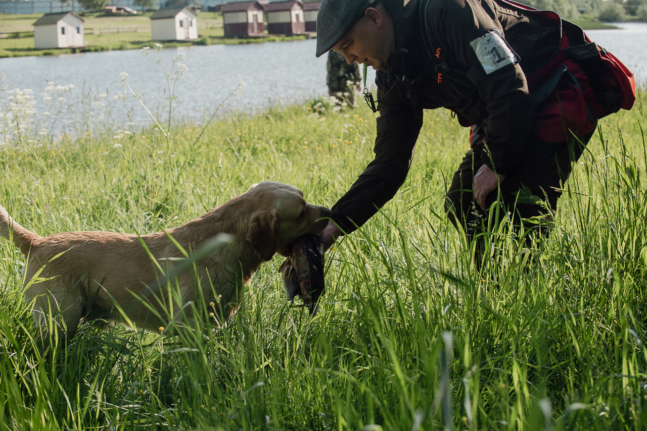 Испытания МОО «Школа Шмеля» 11 июня 2023. Фотограф-анималист Наталья Светличная
